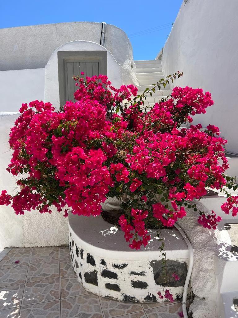 Palm Tree Hill Guest House Oia  Exterior photo
