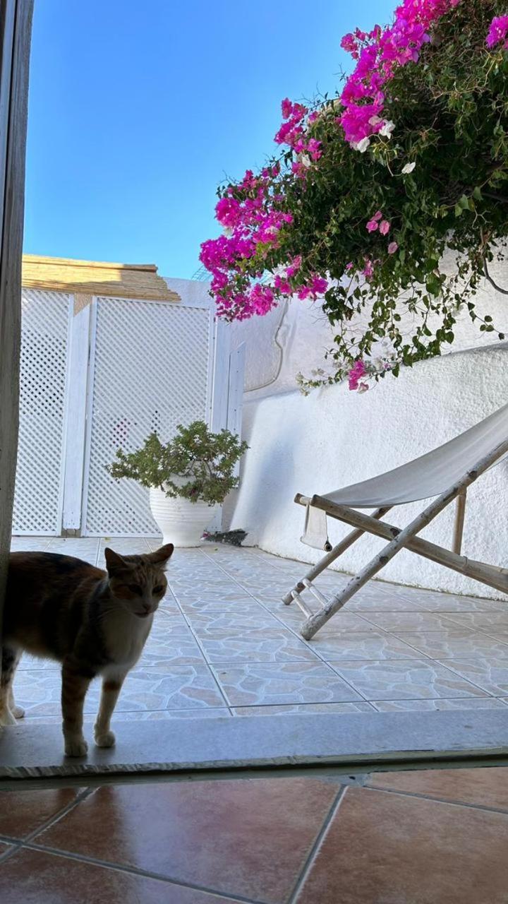 Palm Tree Hill Guest House Oia  Exterior photo