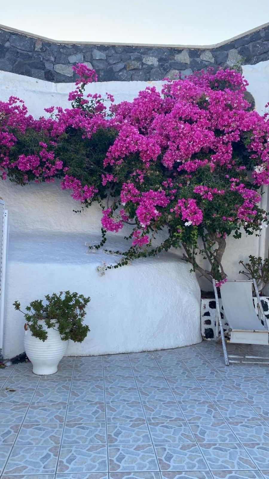 Palm Tree Hill Guest House Oia  Exterior photo