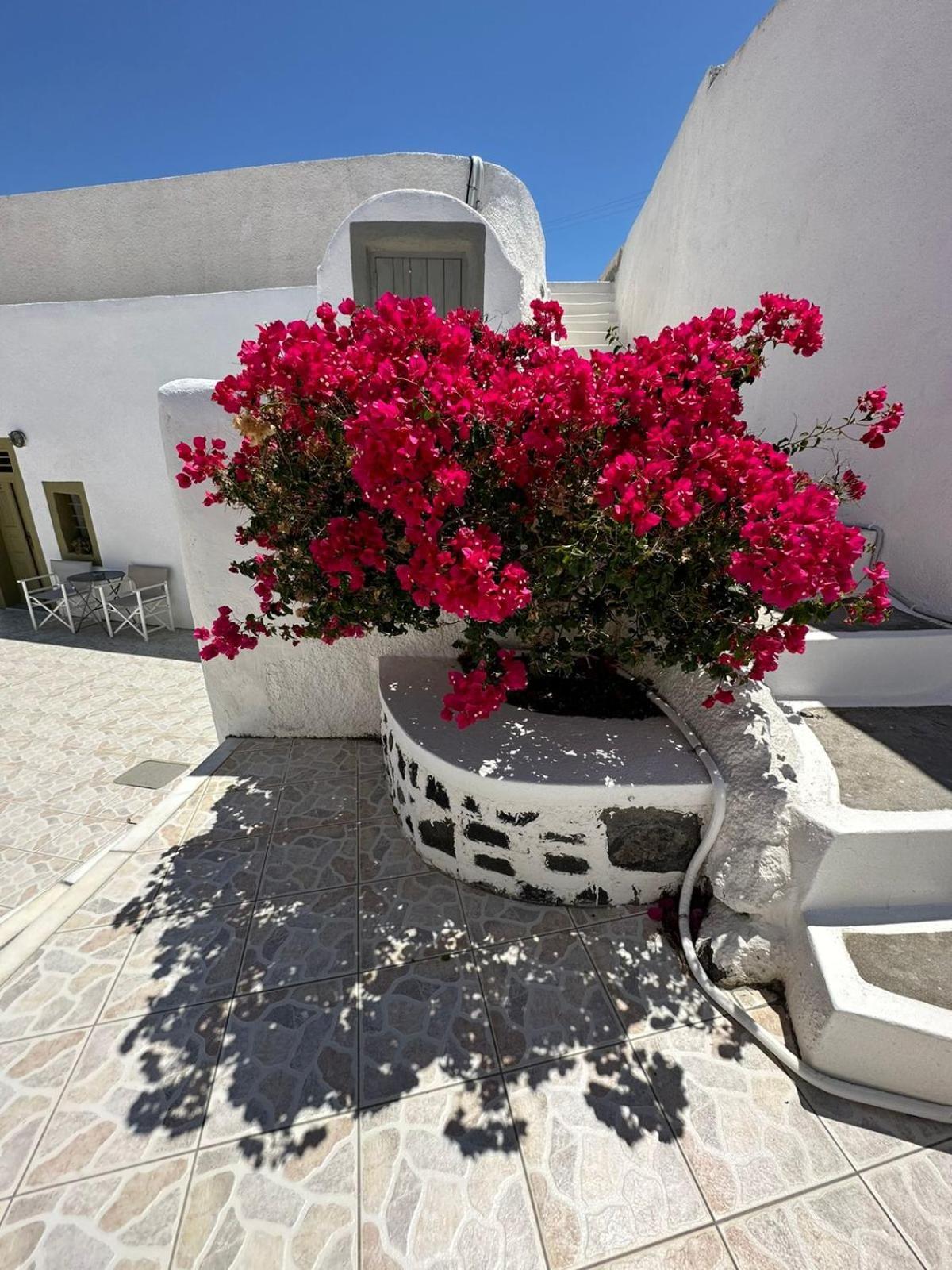 Palm Tree Hill Guest House Oia  Exterior photo